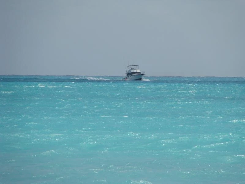 Карибское море