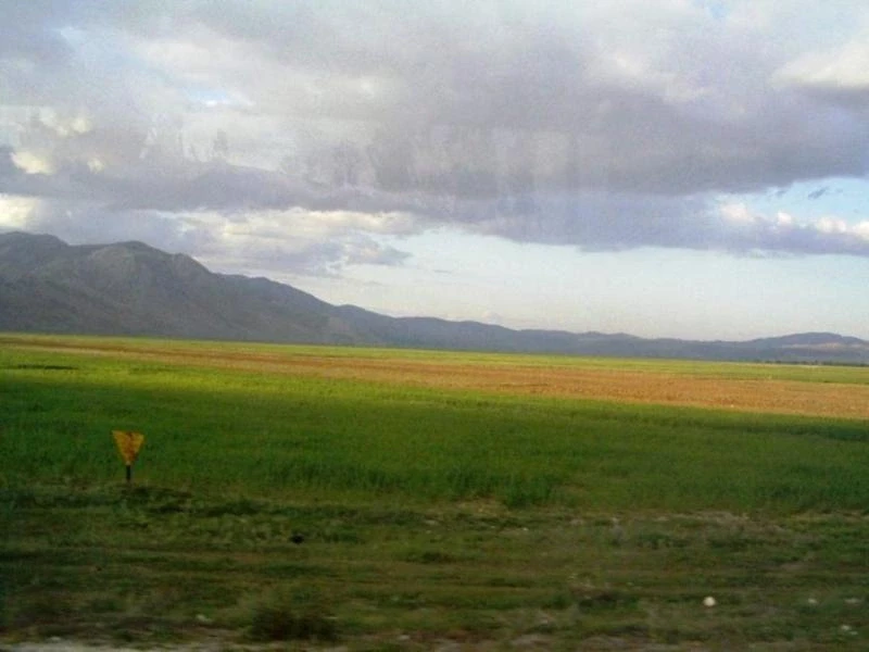 Фотография №37