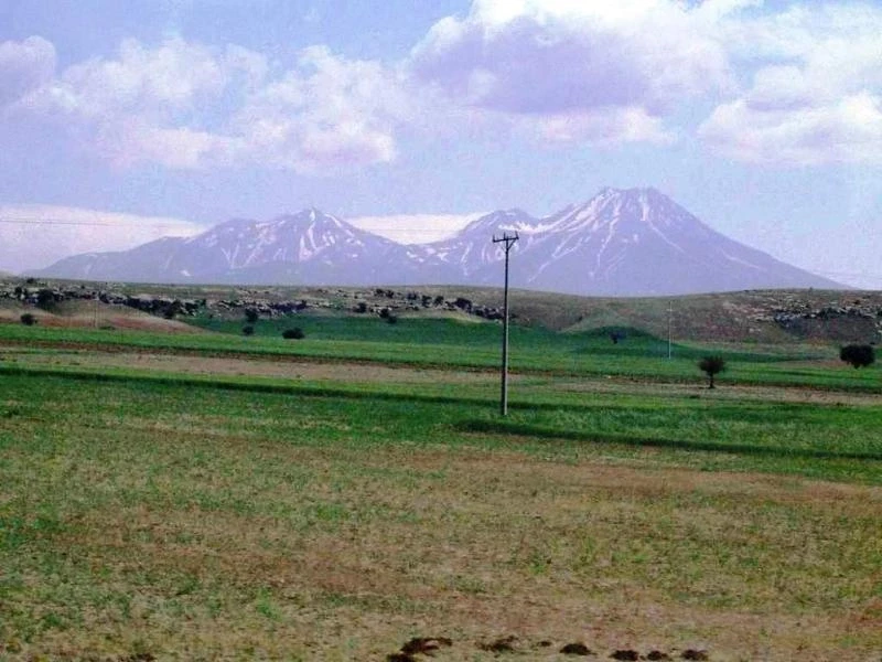 Фотография №40