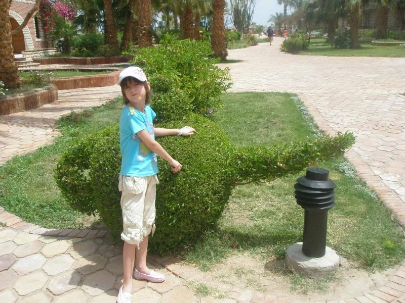 между морем и пустыней)))