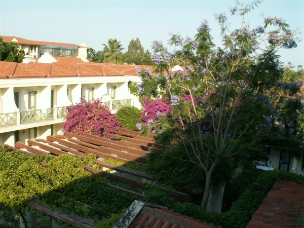 Joy Kiris Resort 5*