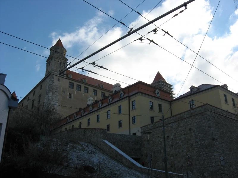 Фотография №21