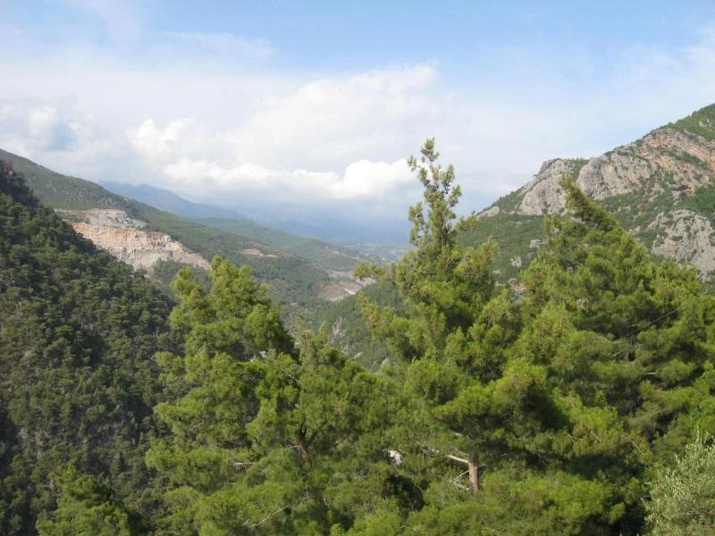 Dim magara