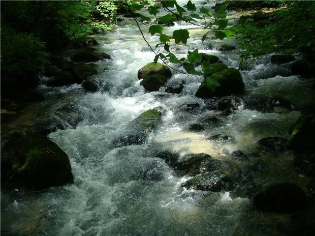 Горная река
