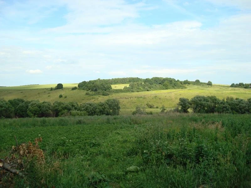 Село Мещерино