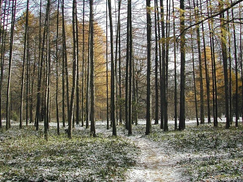 Фотография №39