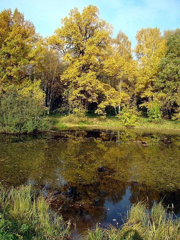 Фотография №58