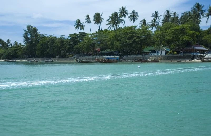 Coral Island