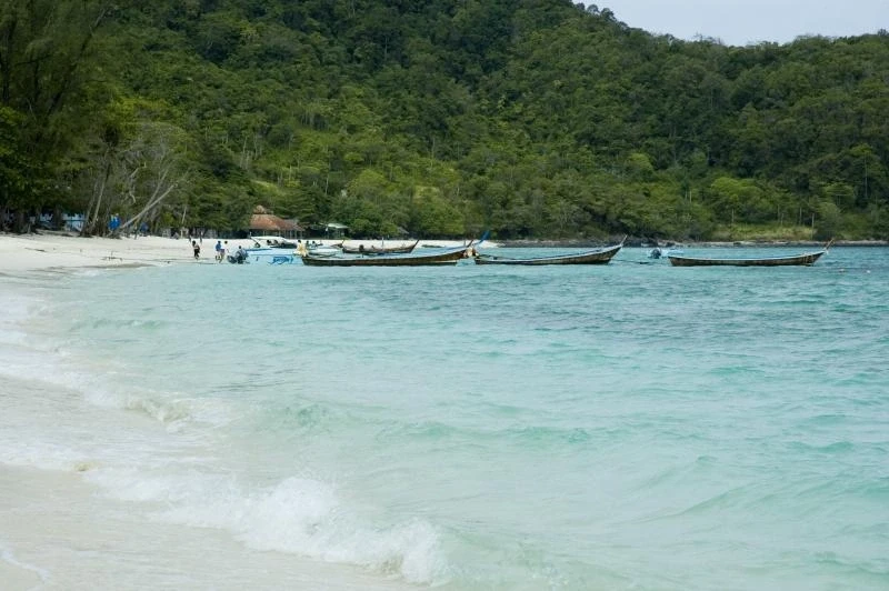 Coral Island