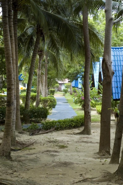 Coral Island Resort