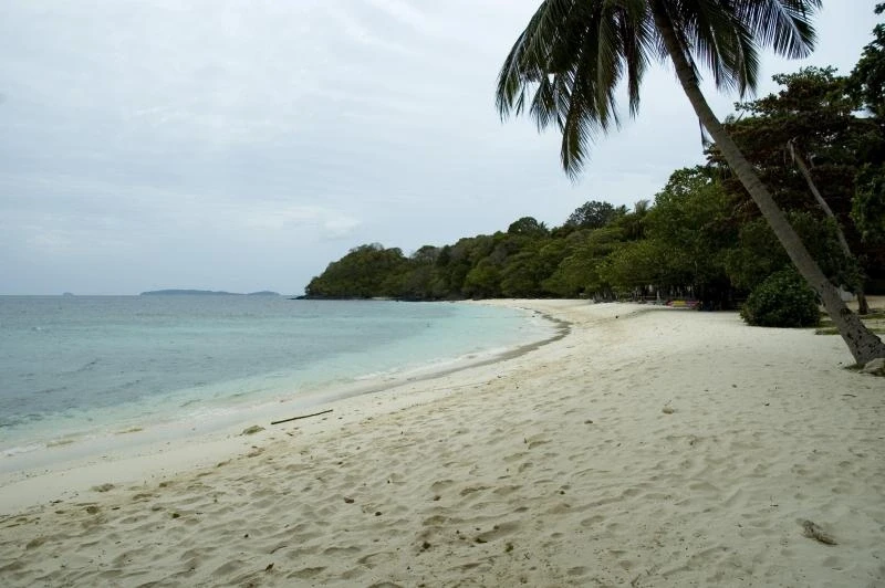 Coral Island