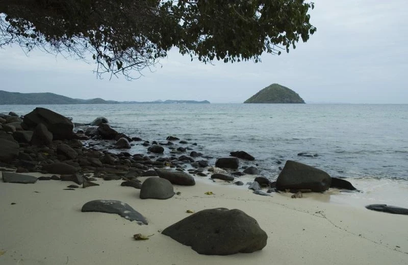 Coral Island