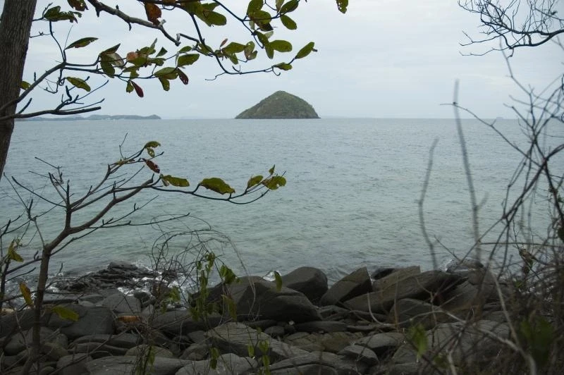 Coral Island