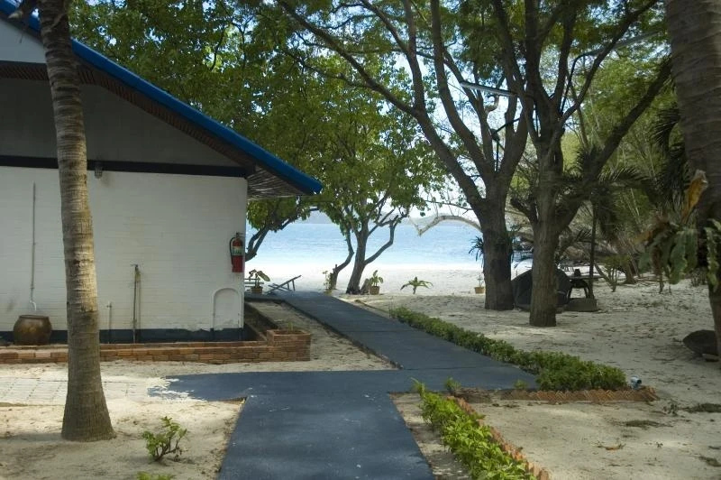 Coral Island