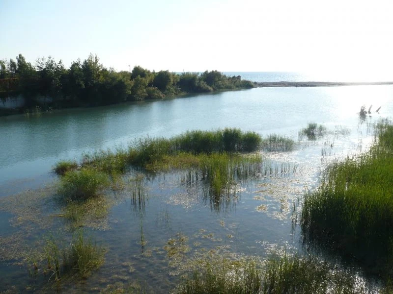 холодная речка, впадающая в море