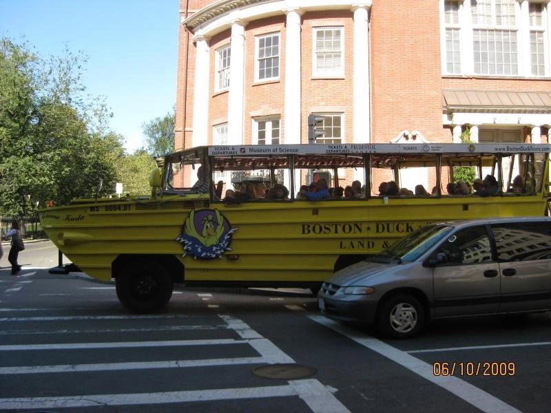 boston duck