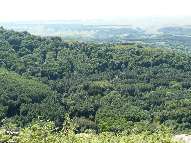 Кисловодск, парк