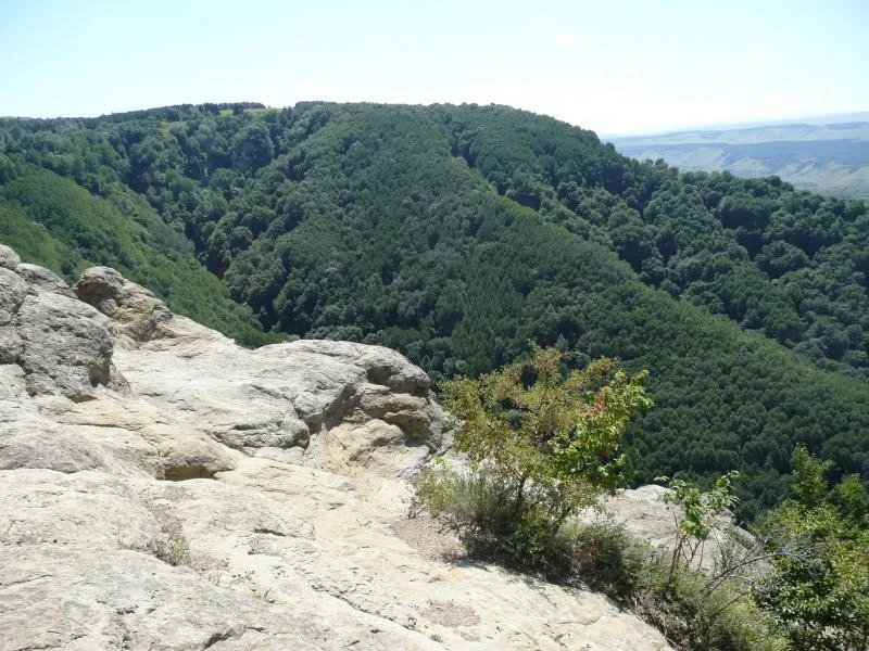 Кисловодск, парк