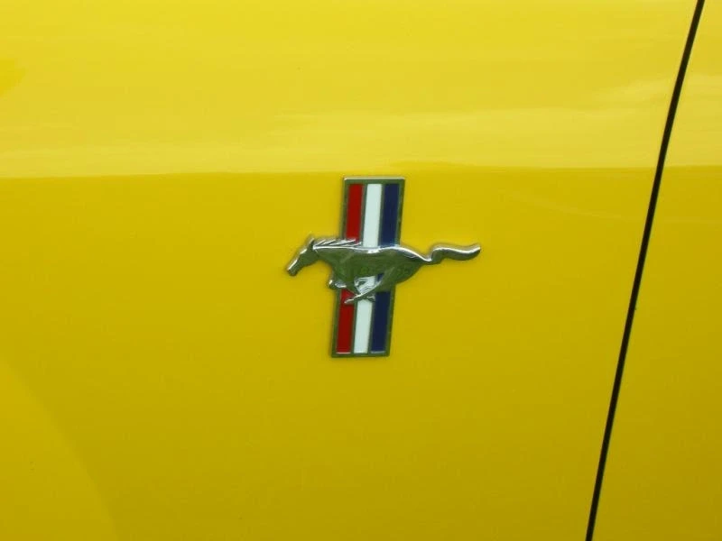 Автоэкзотика 2008