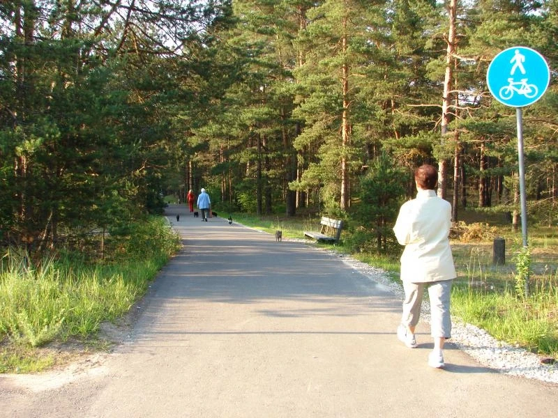 Вот и дорожка к морю.