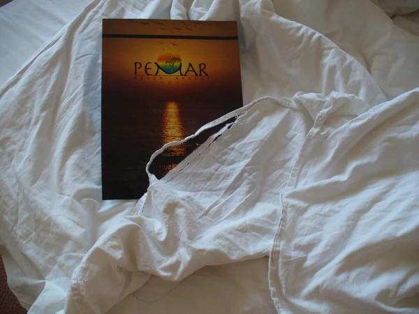 Стоит ли ехать в PEMAR?