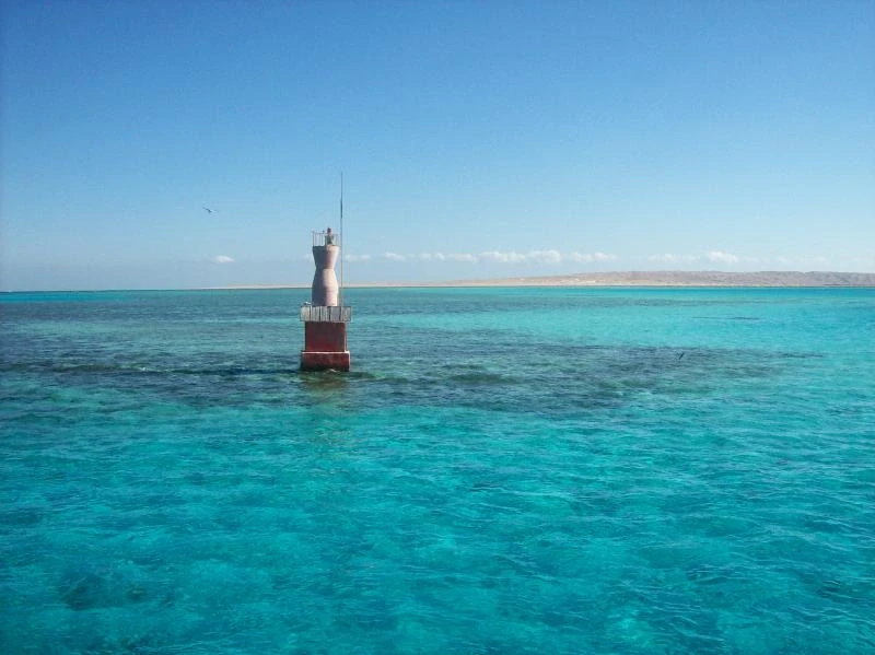 море