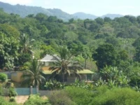 Tropical Lodge 