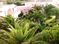 Roselands