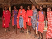 Nalepomara Lodge 