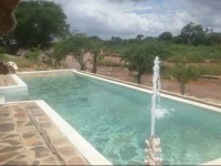 Kiboko Camp 4*