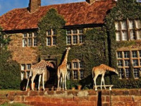 Giraffe Manor Boutique