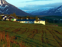 Lamb Inn Ongulsstadir