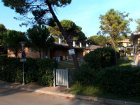 Ville Azalee