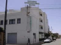 Savanna International 