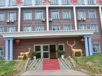 Burqin Luwang Hotel 