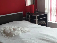 Kiev hotel