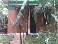 Jollys Jungle Villa 