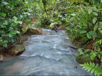 Rancho La Botija 