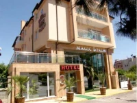 Magic Palm (РњСЌР№РґР¶РёРє РџР°Р»Рј) 2*