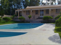 Villas Eucalyptus