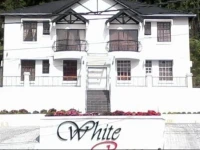 Apartment White Rose 