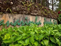 Idaman@Janda Baik 5*