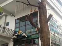 Elit Natural Leisure Homestay Penang 
