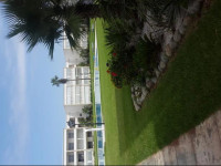 Ola Blanca 2