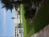 Ola Blanca 2 