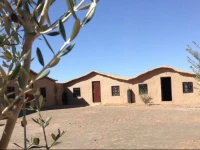 Le Secret Du Sahara 