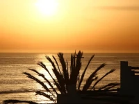 Surf & Travel Hostel 
