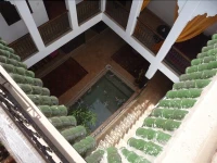 Riad Katia 