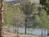 Le Patio Du Lac 