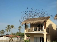 Hotel Canto del Mar 
